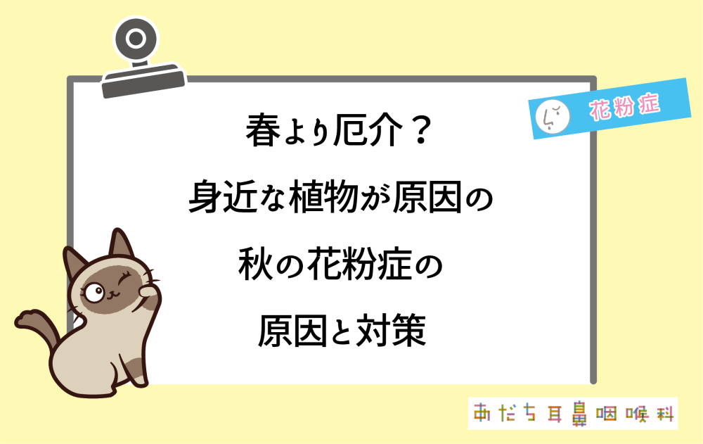 春より厄介?身近な植物が原因の秋の花粉症の原因と対策