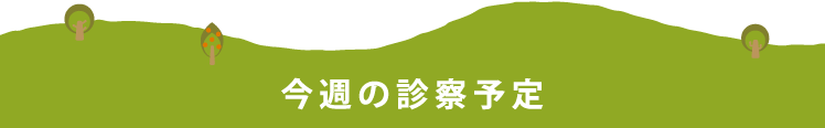 今週の診察予定
